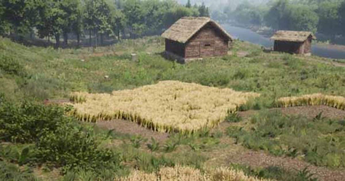 Harvesting Flax for Fiber